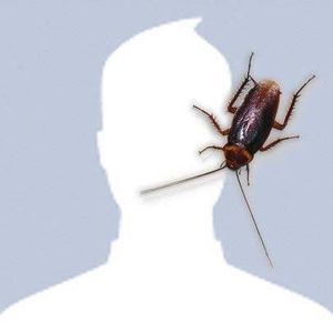 Meet your Posher, Stanley